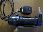 IMG 1119