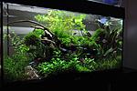 aquascape juwel rio125