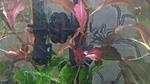 IMG 20170108 203823