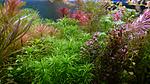 DSC 0326A
