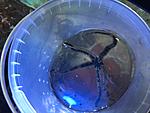 IMG 1829