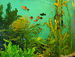 DSC03300