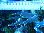 IMG 6278