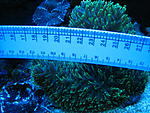 IMG 6268