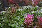 DSC 0282A