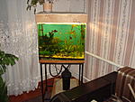 DSC03301