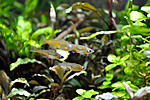 DSC0008