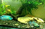 IMG 20170109 193203