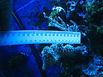 IMG 6266