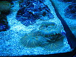 IMG 6275