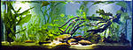 huralnya biotope contest 28 10 2016