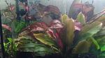 IMG 20170108 203904