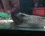 DSC00124