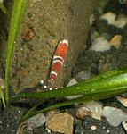 P2040027