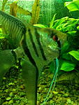 IMG 20170203 170542