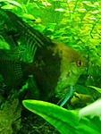 IMG 20170203 171302 1
