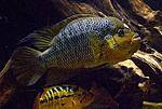 20170219 IMG 1571