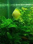 IMG 20170205 210609 1