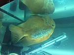 IMG 4050