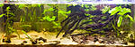 biotope aqua 03 01 2017
