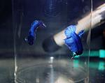 IMG 7421