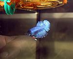 IMG 7432