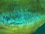 IMG 4051