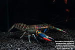 IMG 9509  