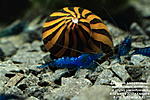 IMG 9183  