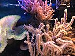 IMG 4680