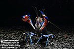 IMG 9393  