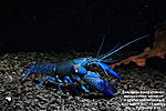 IMG 9373  