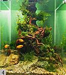 IMG 9934