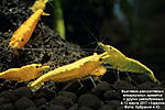 IMG 9159  