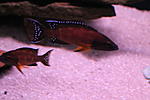 IMG 9282