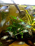 IMG 20170310 184855