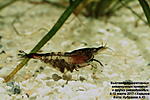 IMG 9204  