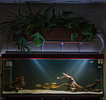 350 � ���� ����������