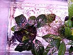 IMG 20170313 180623