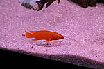 IMG 9293