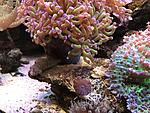 IMG 4701
