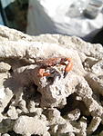 IMG 20170329 124352