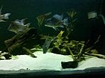 IMG 20170412 192211