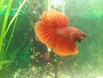 IMG 20161110 152958