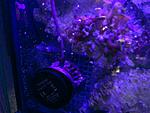 IMG 20170322 181117
