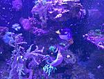 IMG 20170322 180340