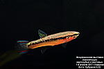 IMG 9869  