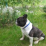 IMG 20160922 221642