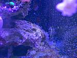 IMG 20170322 175936