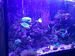 IMG 20170322 180751